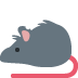 rat